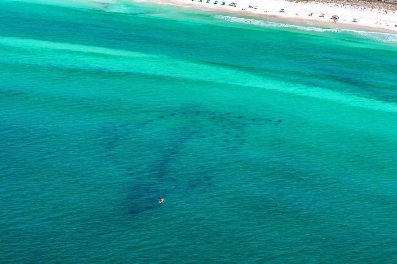 Aloha Cottage Destin 0*,